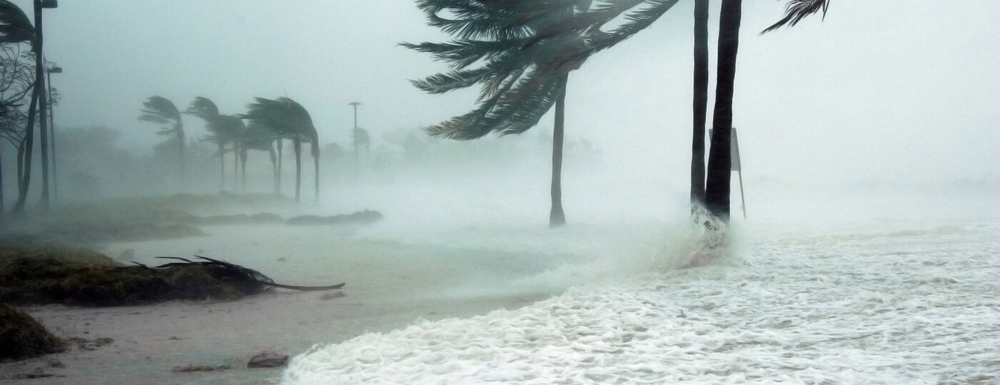 A hurricane storm blowing through palm trees and a beach.
